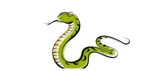 1、年最倒霉的生肖年会破财的三大生肖