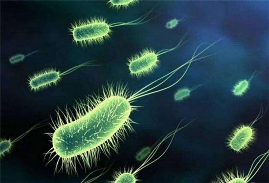 1、怎样检验家里有脏东西？