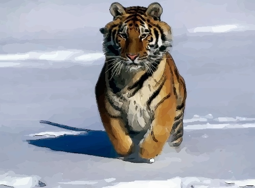 1、属虎年本命年运势怎么样?