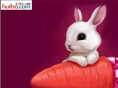 3、:送君千里终顺别打一个生肖