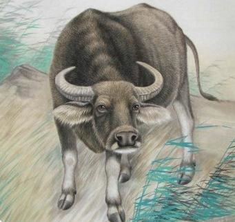 1、虎和牛相配婚姻如何虎和牛属相合不合