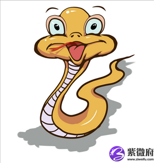 2、属蛇的今年多大