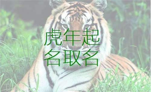 1、给孩子起名真发愁,不是和这个长辈同字,就是和那个同音,请懂的人帮忙起个吧,属虎,命里什么都不缺。