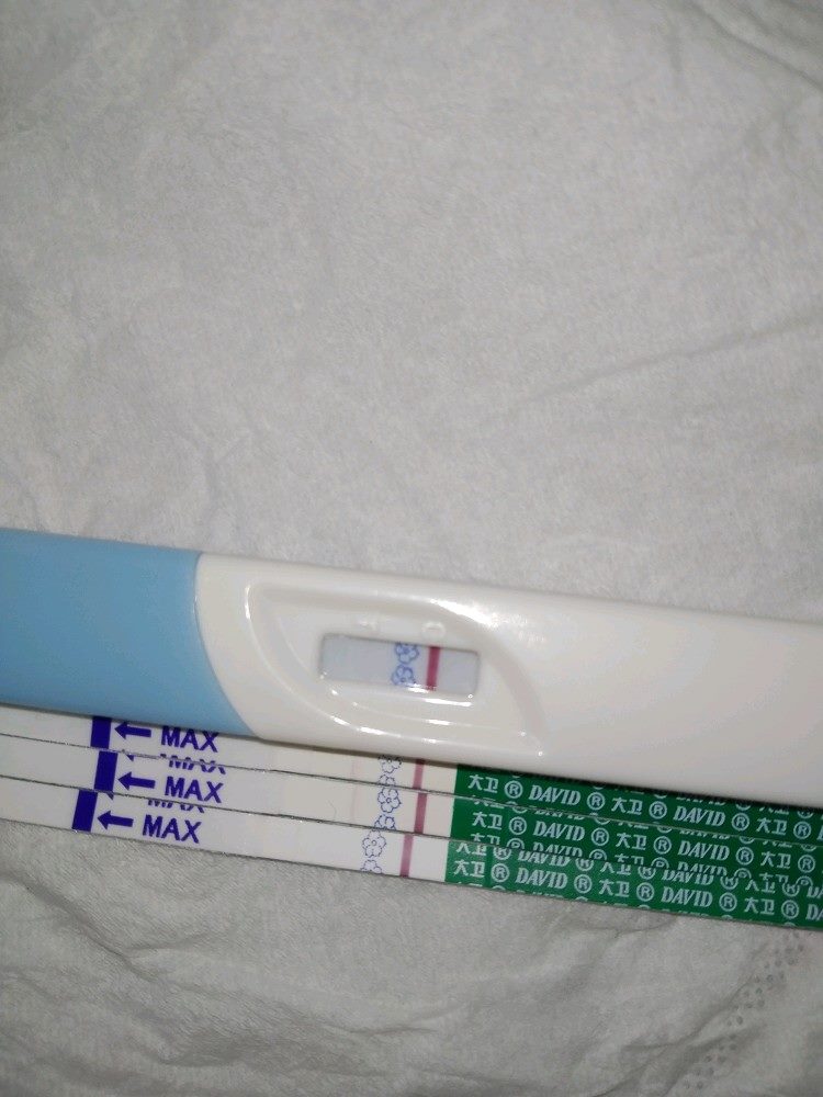 2、很早就测出来的是男孩还是女孩