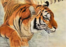 2、属虎几月份出生**命属虎几月出生最有福气