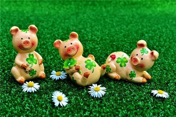 1、83年属猪人年运势运程每月运程