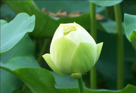 2、遇到缘的几种特征