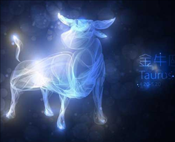 2、我是一个摩羯男，好像爱上了一个金牛女，我两在网上认识，现在以师徒相称，网上聊天的时候挺嗨的，可是见