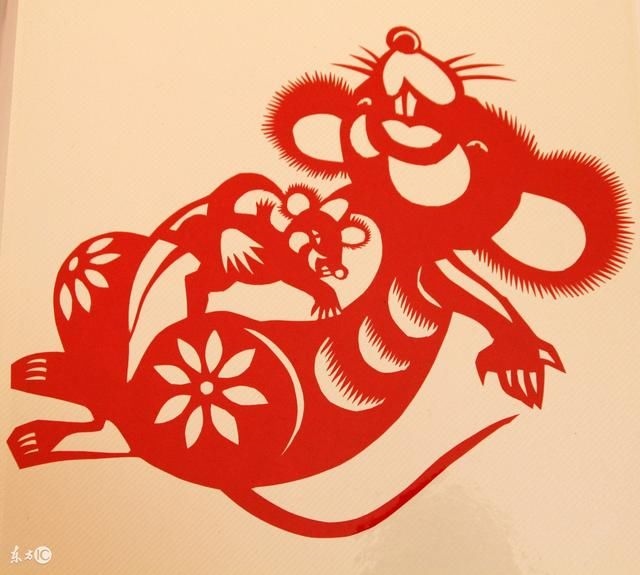 2、志大才疏.猜一生肖