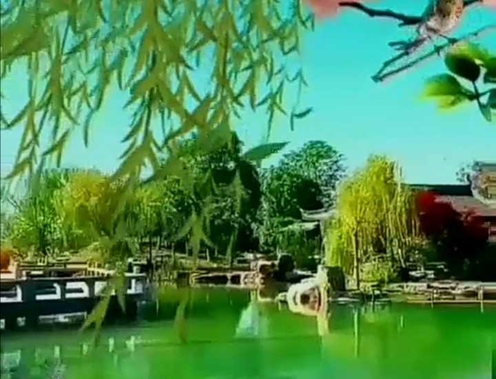 2、花漫九州是什么意思?