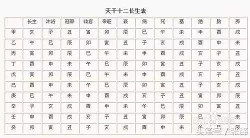 3、十二地支子丑寅卯辰巳午未申酉戌亥各支是否有长生详解