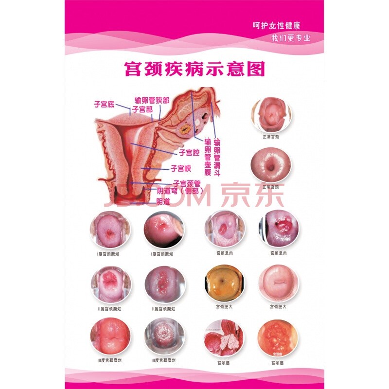 2、B型血的女生各有什么样的性格呢？