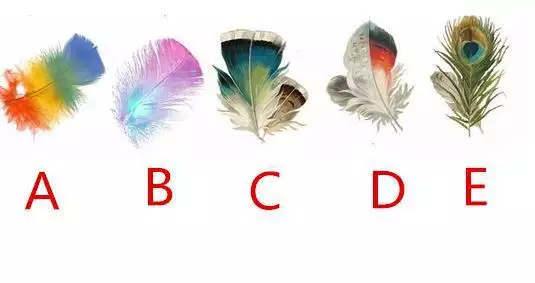 3、我喜欢他吗+心理测试