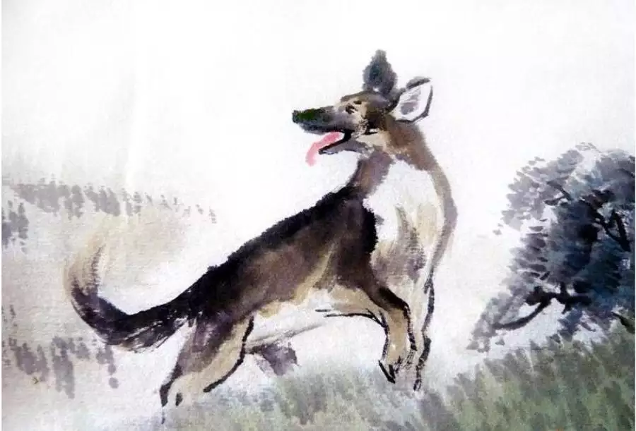 3、属马年43走大运