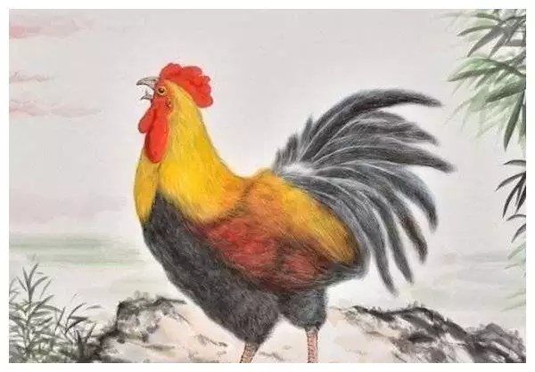 3、81年属鸡的命中再婚吗