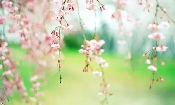 1、分手后，有哪几种迹象说明你们之间的缘分未尽？