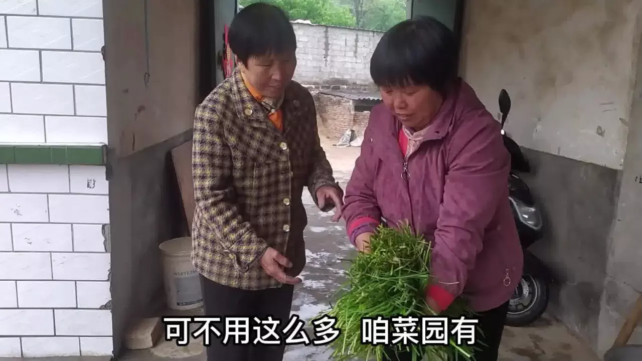 3、越来越多的中国年轻人选择不结婚,全球年轻人对待婚姻的态度如何?