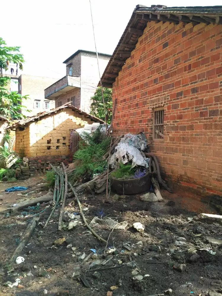 4、为什么说茂名落后，广东不是很富吗