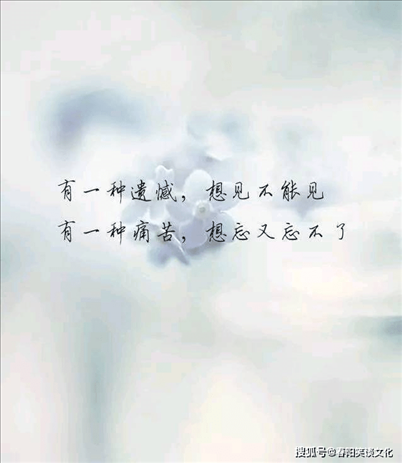 2、说的那些话还说过一些撕心裂肺