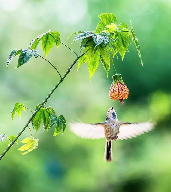 4、天高地厚无人知猜一生肖