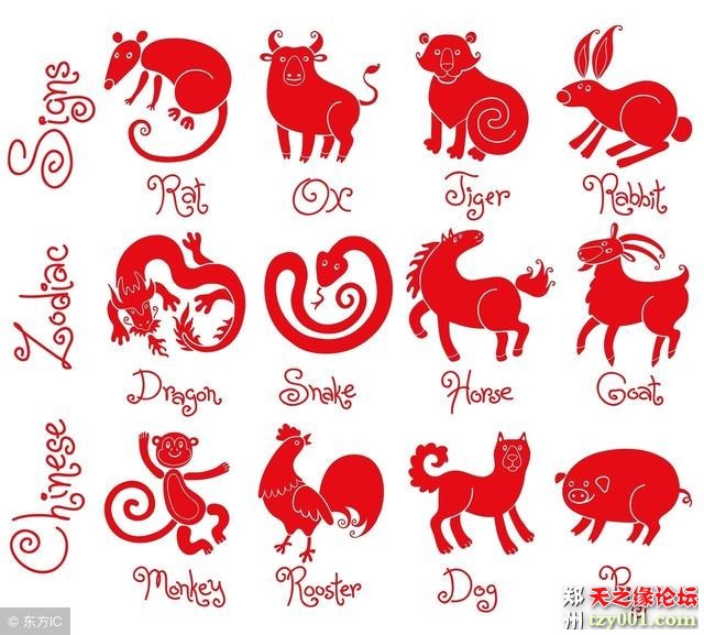 2、马跟什么相冲属马跟什么属相犯冲