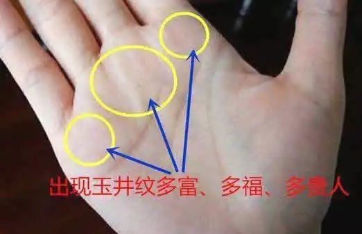 3、怎么看手相?手相的三条线分别代表什么?