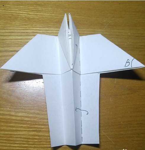 2、世界上飞得最远的纸飞机