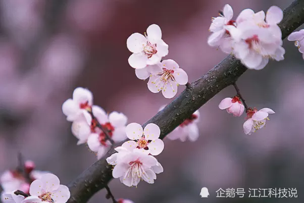 3、想知道87年年多大了？