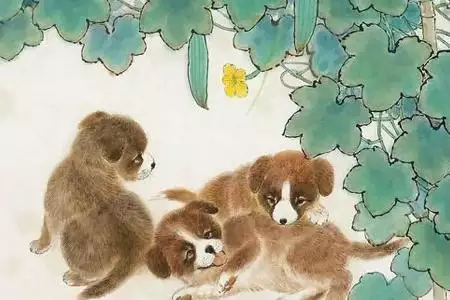 3、男属猴女属狗在一起能你过几年