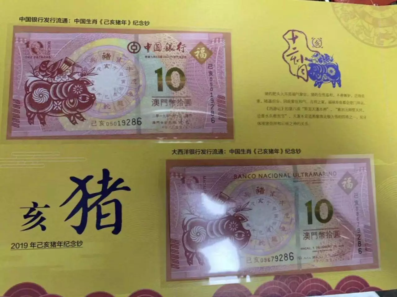 3、十二生肖今晚开么什码