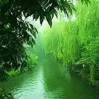 4、33岁男用什么样的微信头像发财？