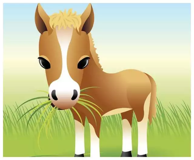 3、属马人永远最旺的颜色