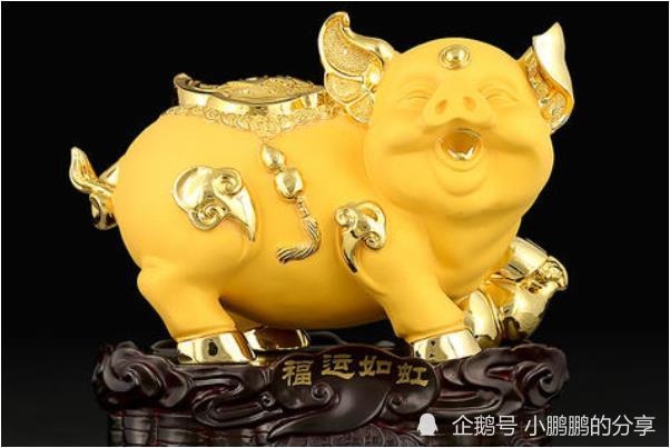 1、年属猪的是什么命年属猪年运势运程大全及