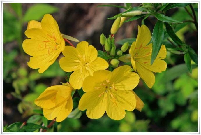 2、三个属相的孩子旺父母