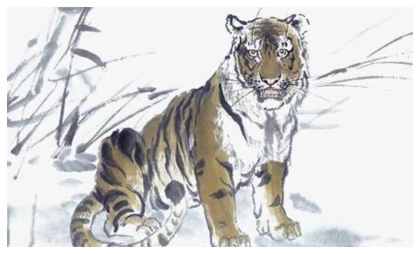 1、年的虎五行属什么年属虎的各方面运势怎么样