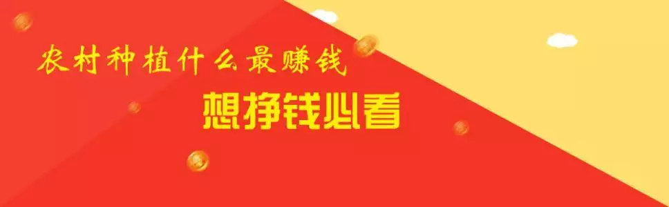 3、没人注意的暴利行业，有哪些是可以做的？