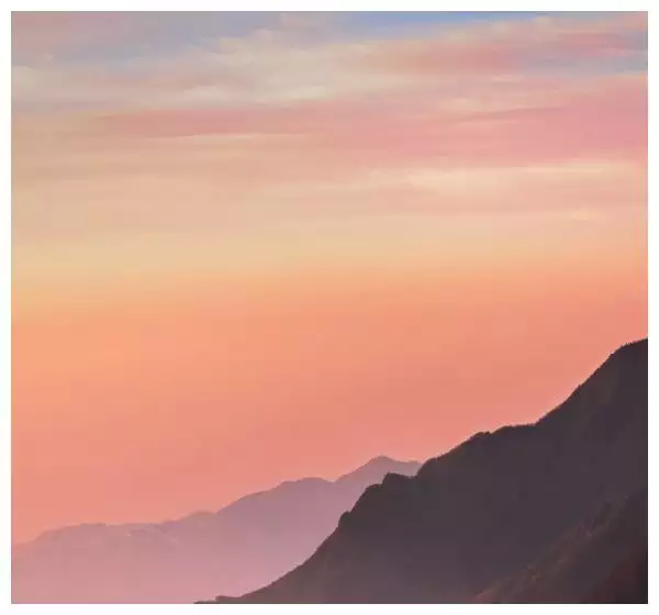 4、自命不凡猜一生肖