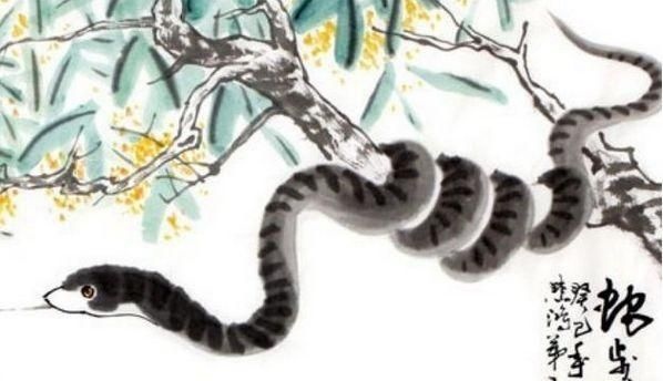 1、属蛇人一生的克星属蛇的人年的克星是谁