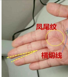 2、9种手纹的女人命好