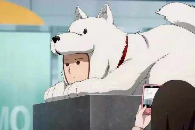 3、年属狗是什么命年属狗运势怎么样