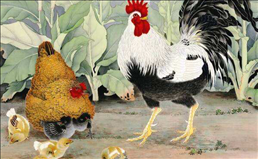 1、生肖鸡一生命运年属鸡人一生运程