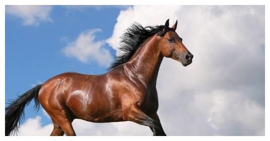 2、年属马的人婚配年属马的**配偶