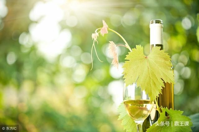 2、能赚会花的星座女，心中有大格局，眼光很长远，是哪些星座？