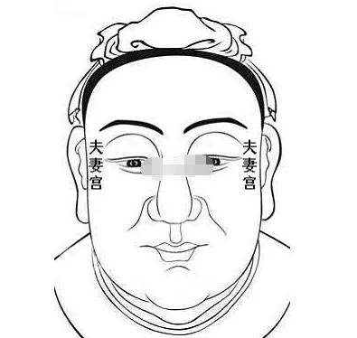 4、如何看自己的夫妻宫