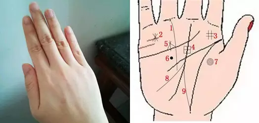 3、断掌纹与什么样的人结婚好