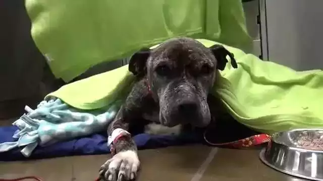 4、什么是最没有痛苦的事