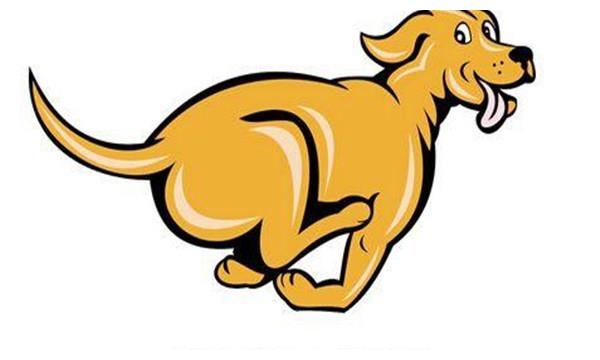 2、属狗男人和属相最配