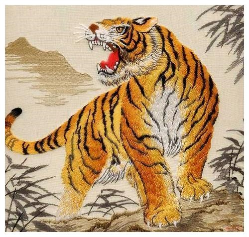 2、年的虎五行属什么年属虎的各方面运势怎么样