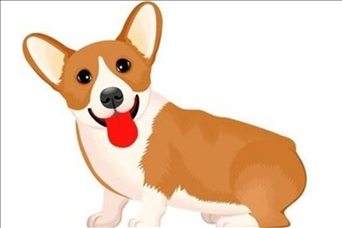 2、94年的男狗和94年的女狗能结婚吗?