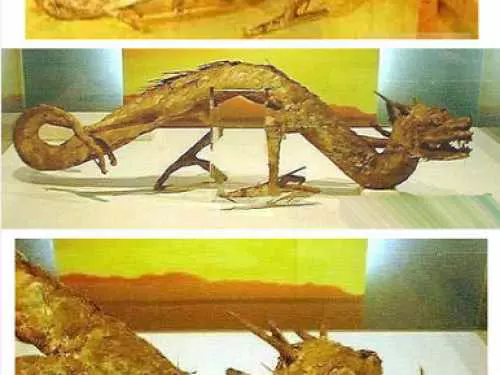 3、曾经长江挖出7米远古“”,这是真的吗?